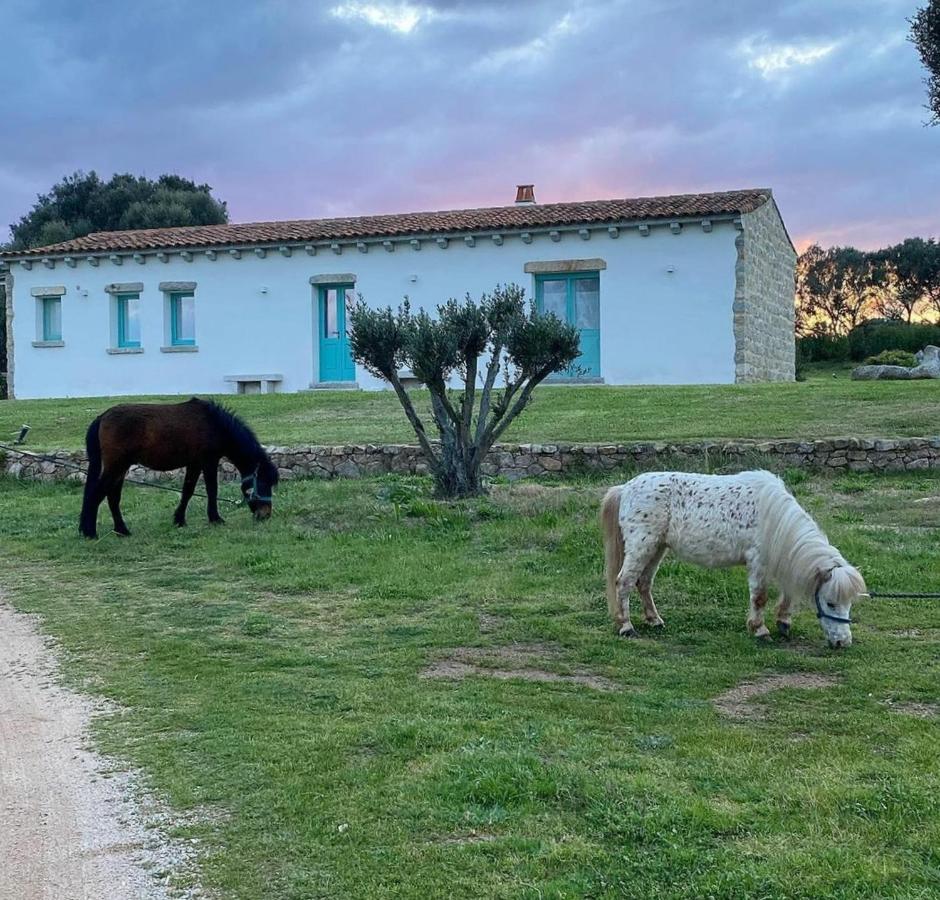 B&B Li Tauli Arzachena Exterior photo